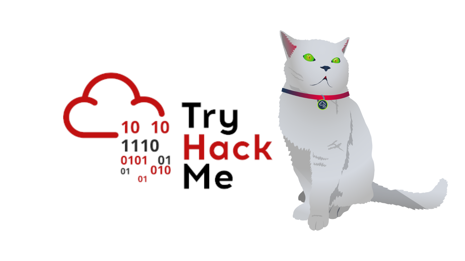 TryHackMe - Cat Pictures